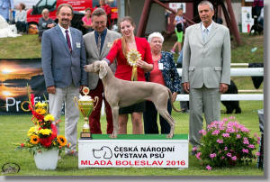 Arrya - JBIS Česká NV Mladá Boleslav 2016